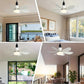 🏆LAST DAY SALE 70% OFF🔥SmartBreez 40W LED Ceiling Fan Light – 20.5” Ultra-Quiet with Remote 🎯 | E27 + FREE B22 Adapter 🔌 | For Bedroom 😴, Kitchen 👩‍🍳 & Garage 🛠️ – UK Ready! 🇬🇧