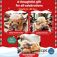 Christmas New Gift Toy🐂🎁Cute Cartoon Highland Cow Cuddly Toy🔥Buy 2 Free Shipping