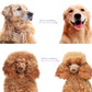 ⏳LAST DAY🎉 #1 in UK Pet Grooming 2026 🏆Professional Double-Sided Deshedding Brush for Dogs & Cats – Reduces Shedding by 90%💪