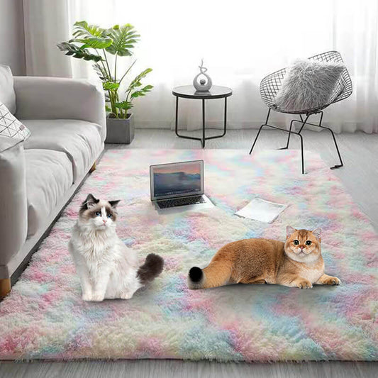 🔥Hot Sale💖50% OFF NOW!🔥Gradient Color Plush Floor Mat