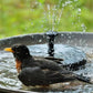🔥 Flash Sale – Save 70%! ⏳⛲Compact Solar Bird Fountain Pump – Keep Your Garden Alive! 🐦️
