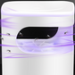 💥Summer Hot Sale 50% OFF🔇UV Fly Trap with Transparent Catch Box💥