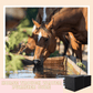 💦Horse Trough Water Purifier Cube💦Buy 1 get 1 free
